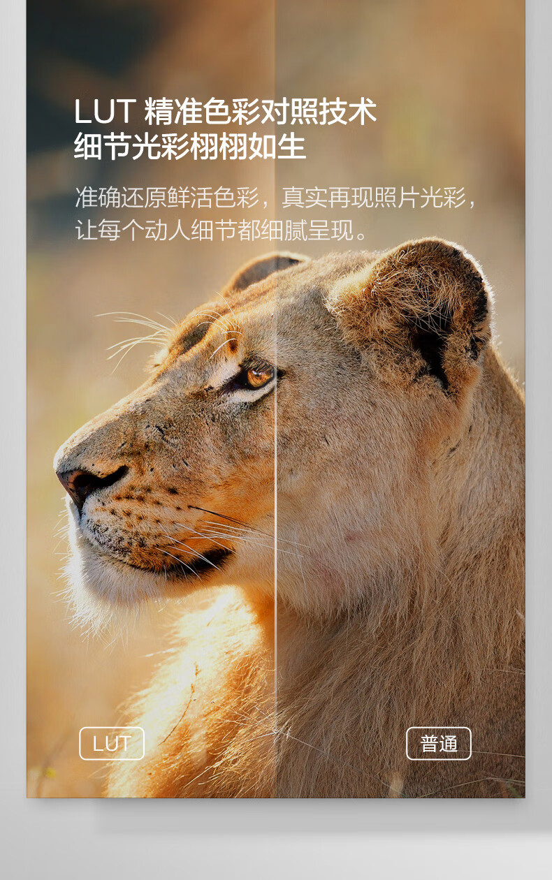 详情-08.jpg