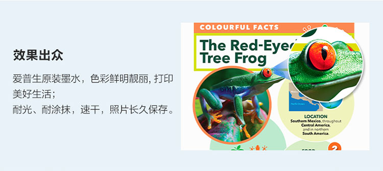 详情3.jpg